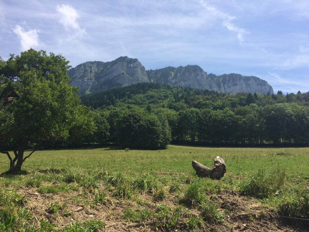 Les Balcons Du Leman Bed and Breakfast Thollon-les-Memises Exterior foto